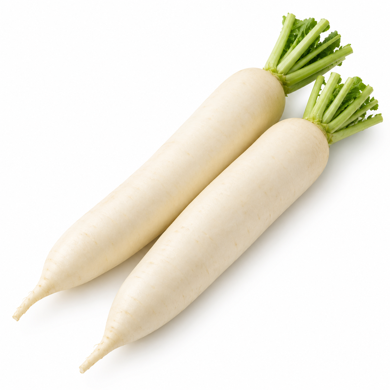 Fresh Mooli Each (Single)