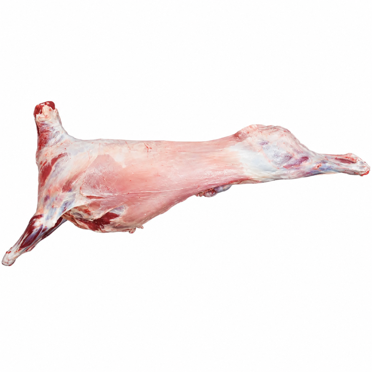 Halal Fresh Whole Lamb Approx Gross 17-21Kg (Before Cutting & Cleaning)
