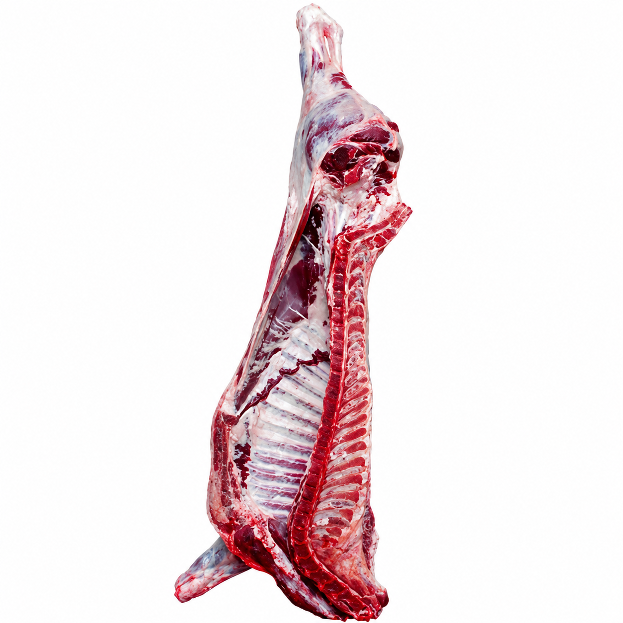 Halal Fresh Half Lamb Approx Gross 7-12Kg (Before Cutting & Cleaning)