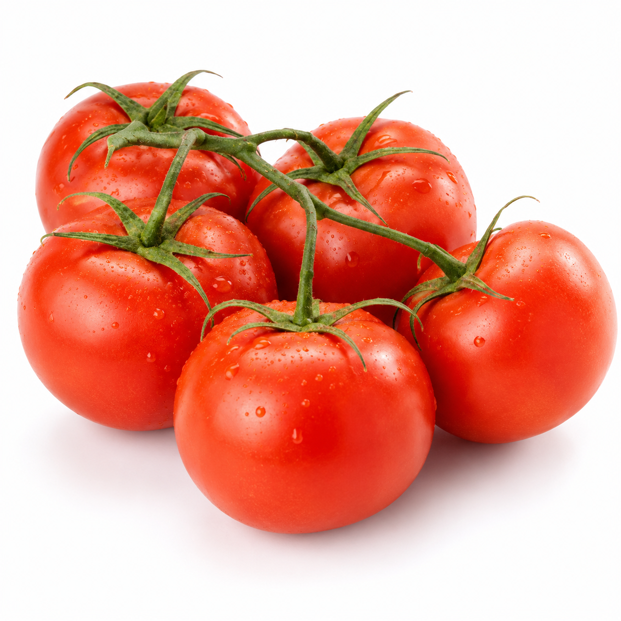 Fresh Tomatoes