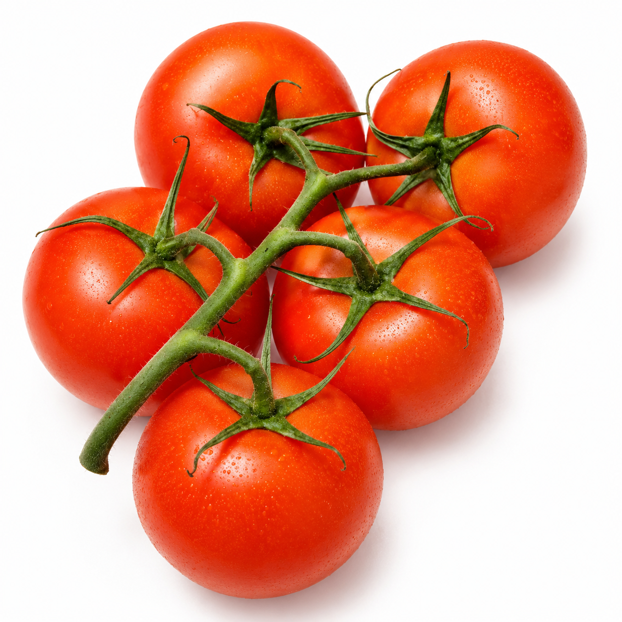 Fresh Tomatoes
