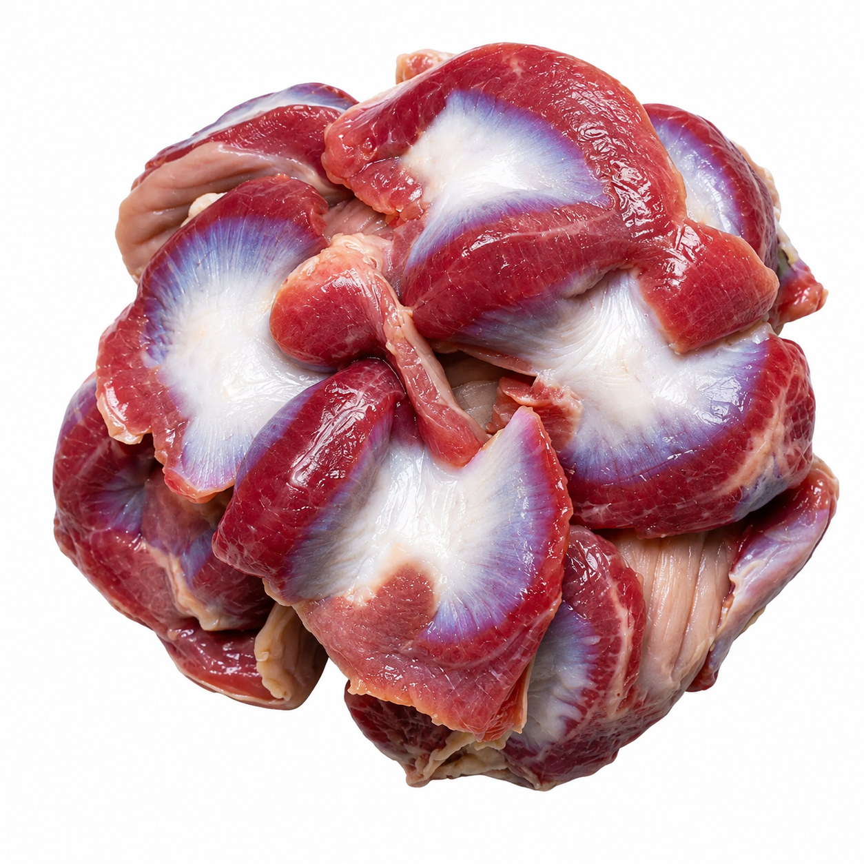 Halal Fresh Chicken Gizzard