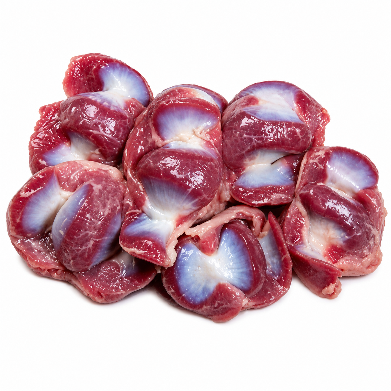 Halal Fresh Chicken Gizzard