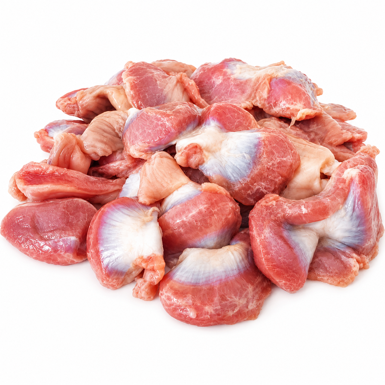 Halal Fresh Chicken Gizzard