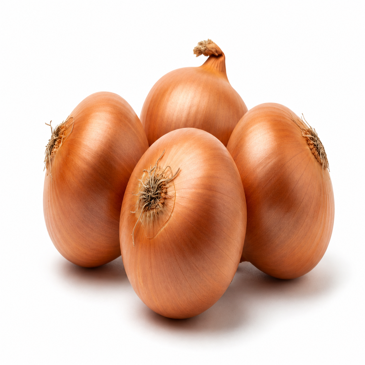 Brown Onion