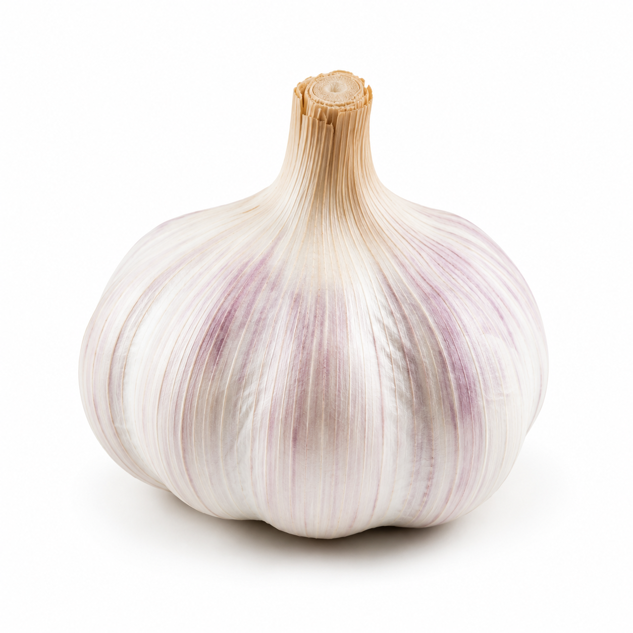 Fresh Garlic Each