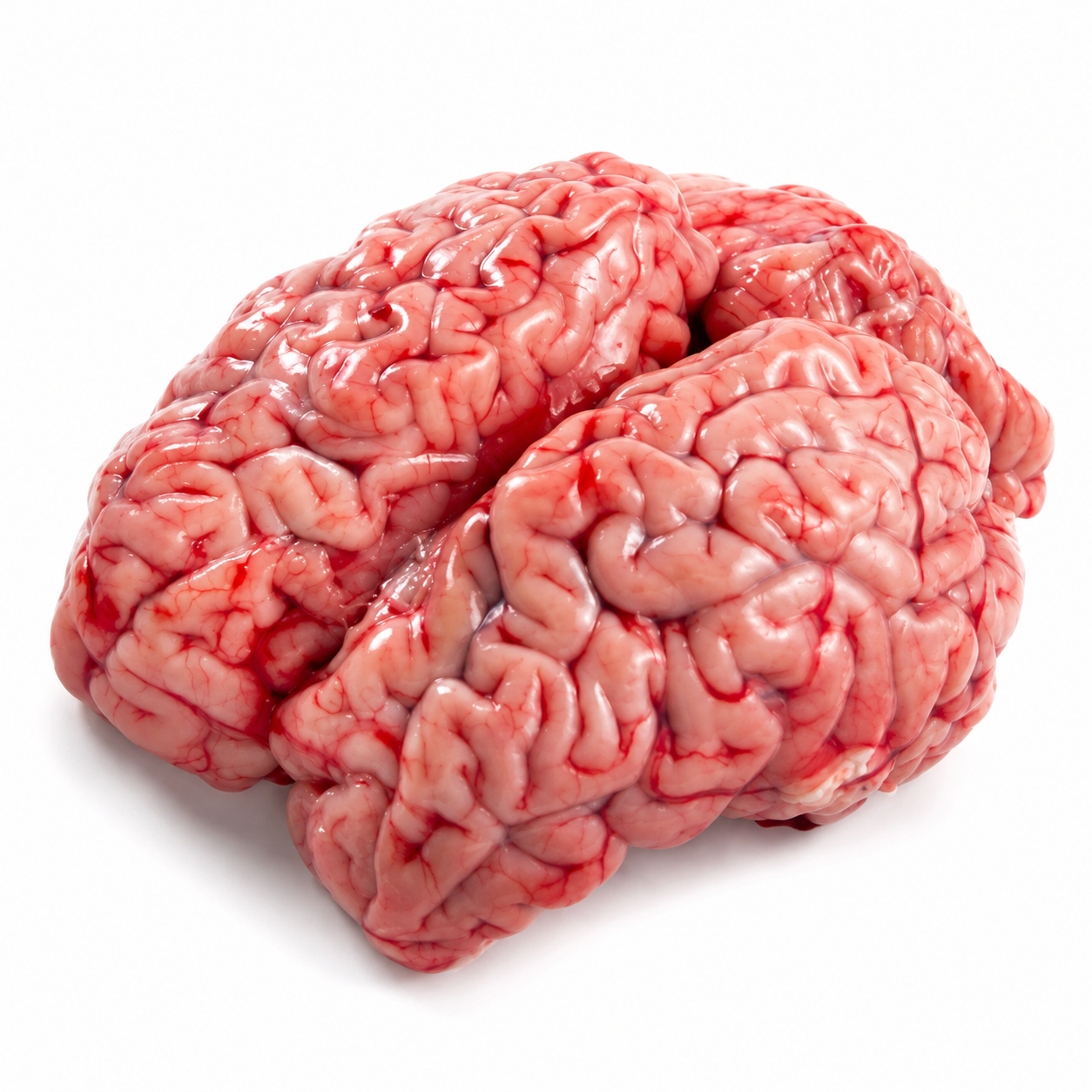 Halal Fresh Lamb Brain (Single Pack)