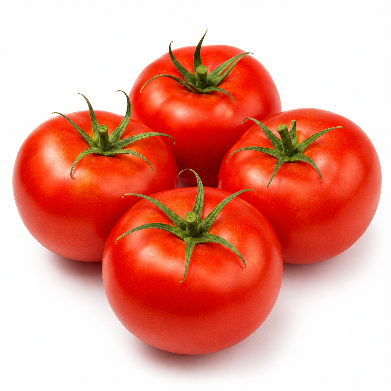 Fresh Tomatoes