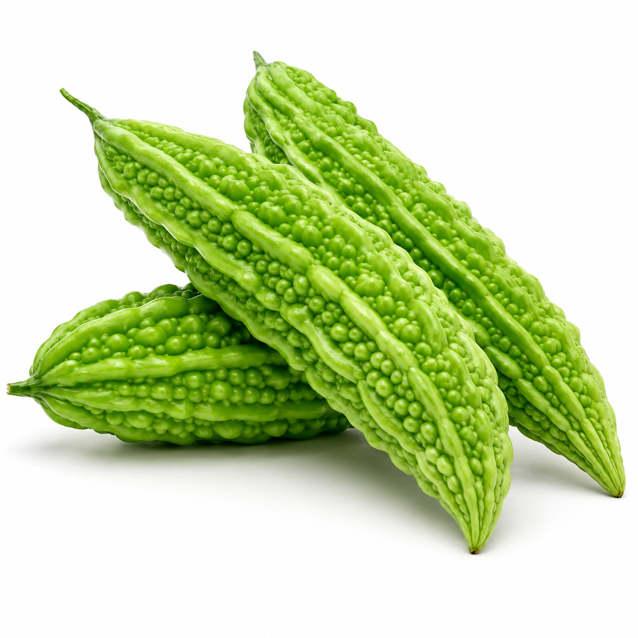 Fresh Bitter Gourd / Bitter Melon (Karela)