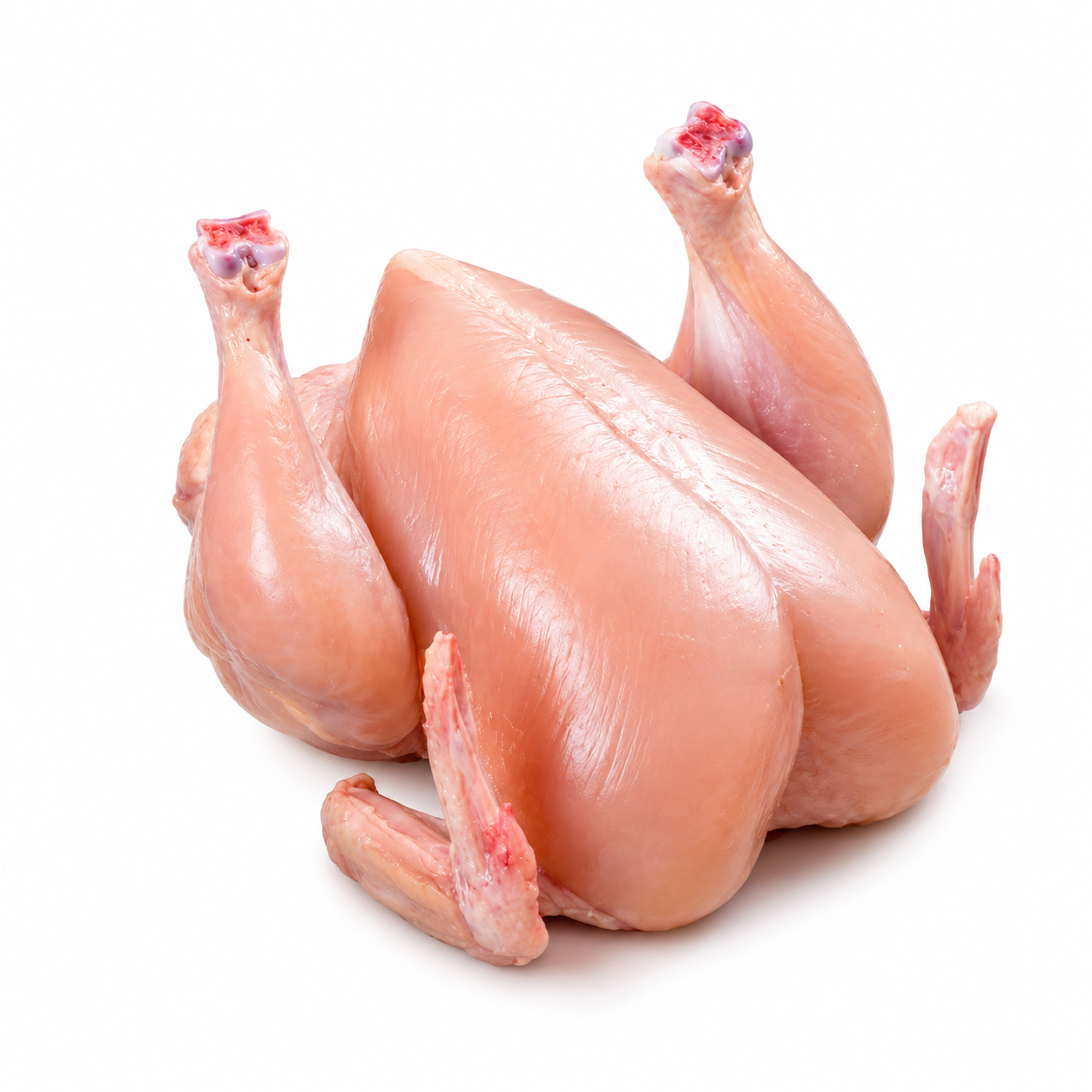 Halal Fresh Baby Chicken