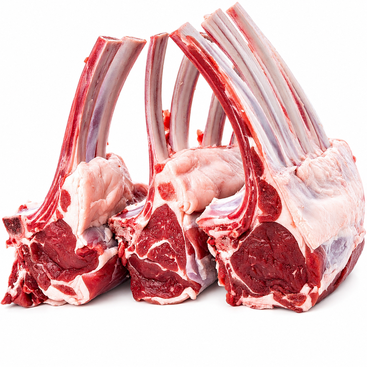 Halal Fresh Lamb Back Chops