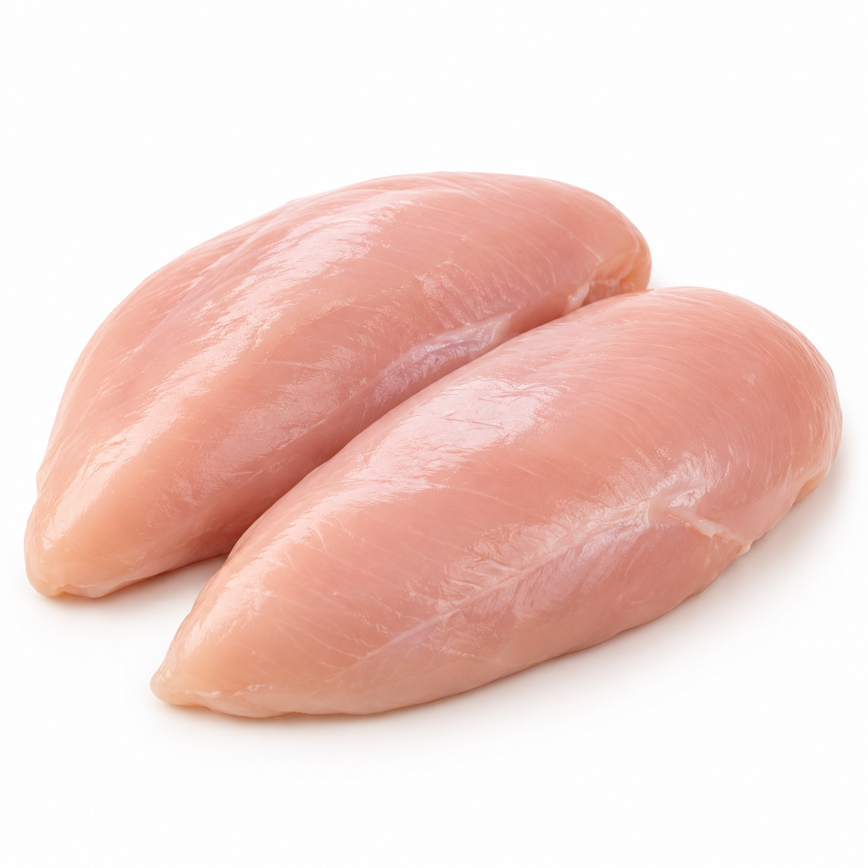 Halal Fresh Chicken Breast Fillets Boneless