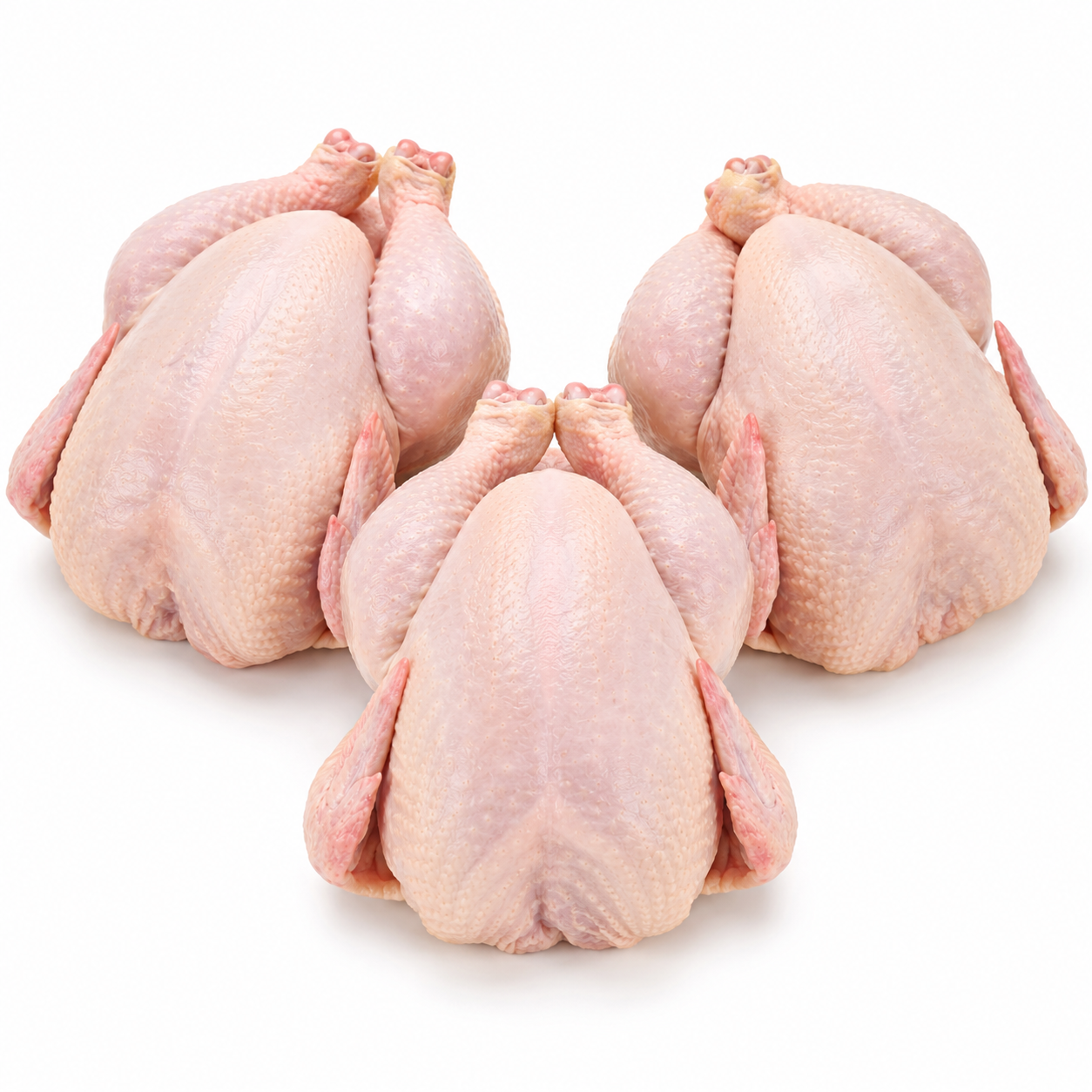 Halal Fresh Baby Chicken x3
