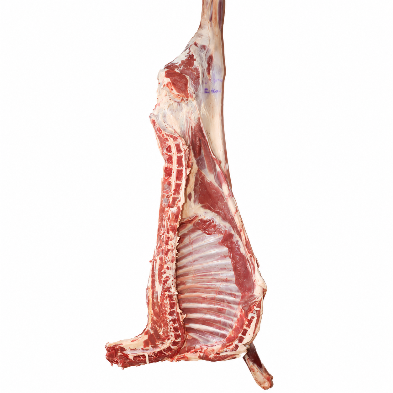 Halal Fresh Half Lamb Approx Gross 7-12Kg (Before Cutting & Cleaning)