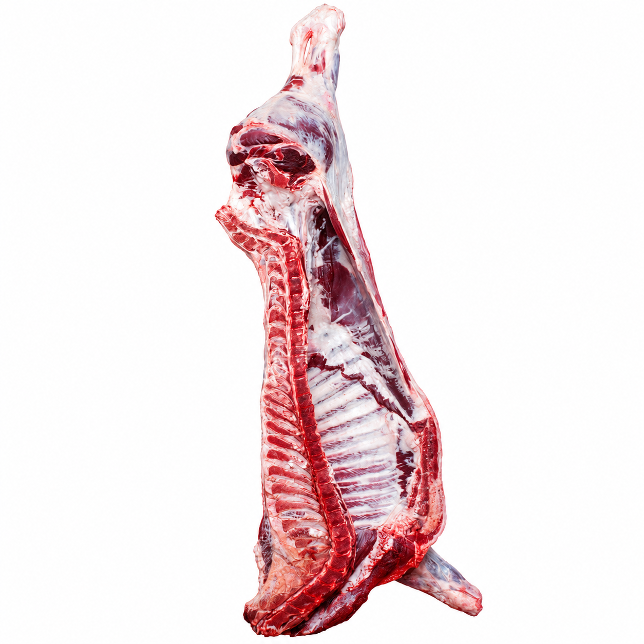 Halal Fresh Half Lamb Approx Gross 7-12Kg (Before Cutting & Cleaning)