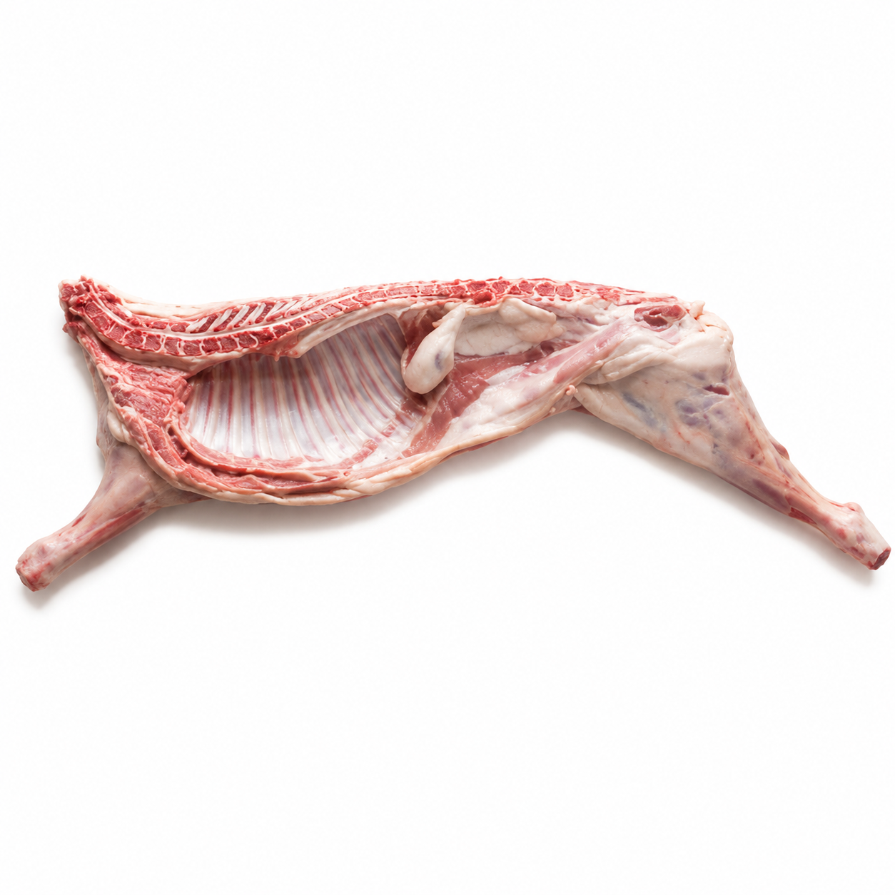 Halal Fresh Half Lamb Approx Gross 7-12Kg (Before Cutting & Cleaning)