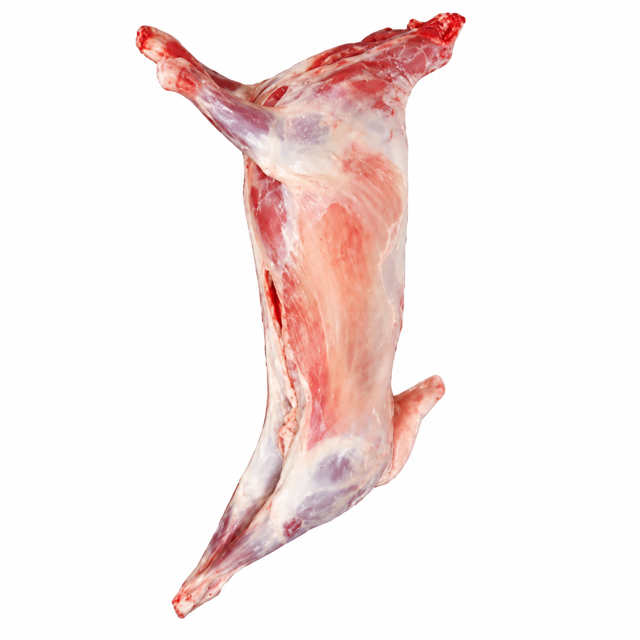 Halal Fresh Whole Lamb Approx Gross 17-21Kg (Before Cutting & Cleaning)