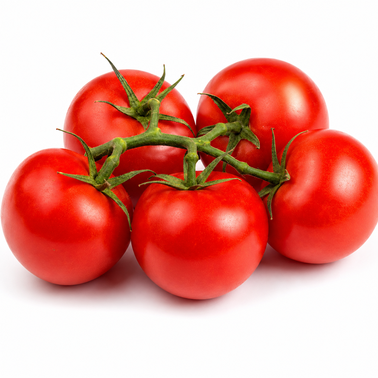 Fresh Tomatoes