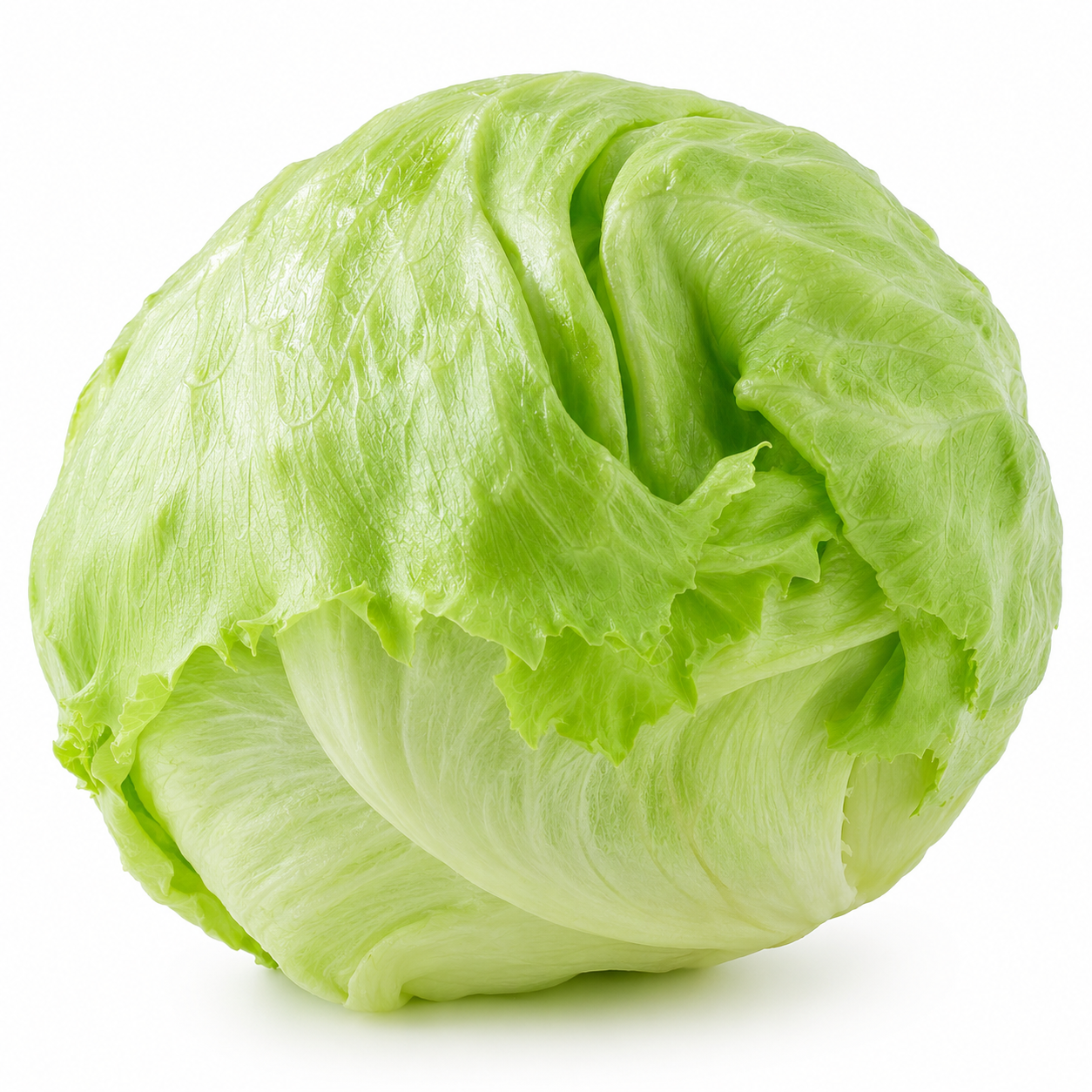 Iceberg Lettuce Each (Size May Vary)