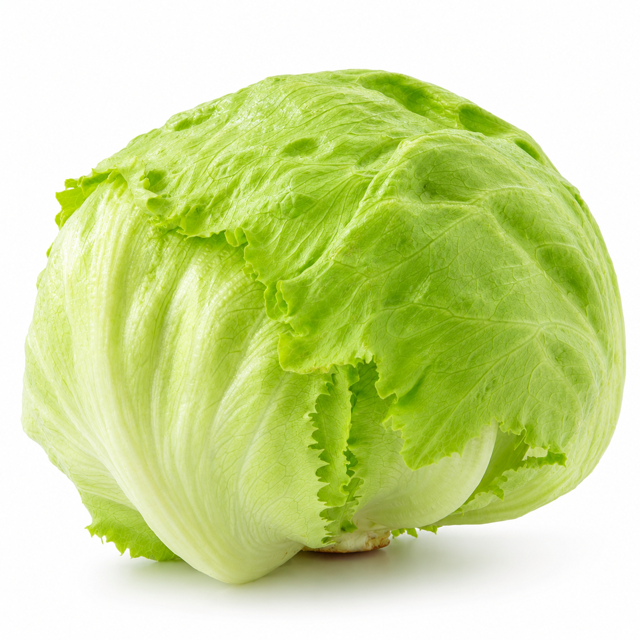Iceberg Lettuce Each (Size May Vary)