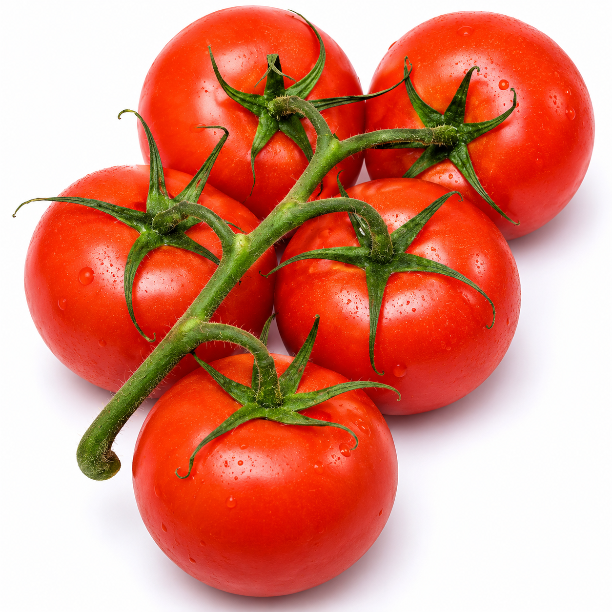 Fresh Tomatoes