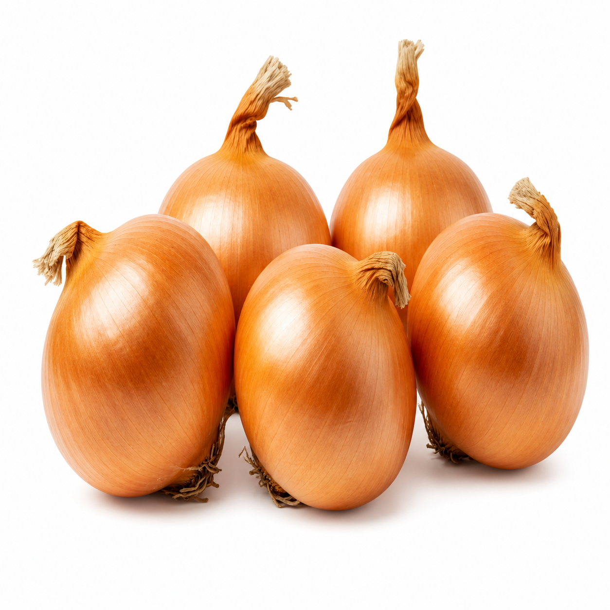 Brown Onion