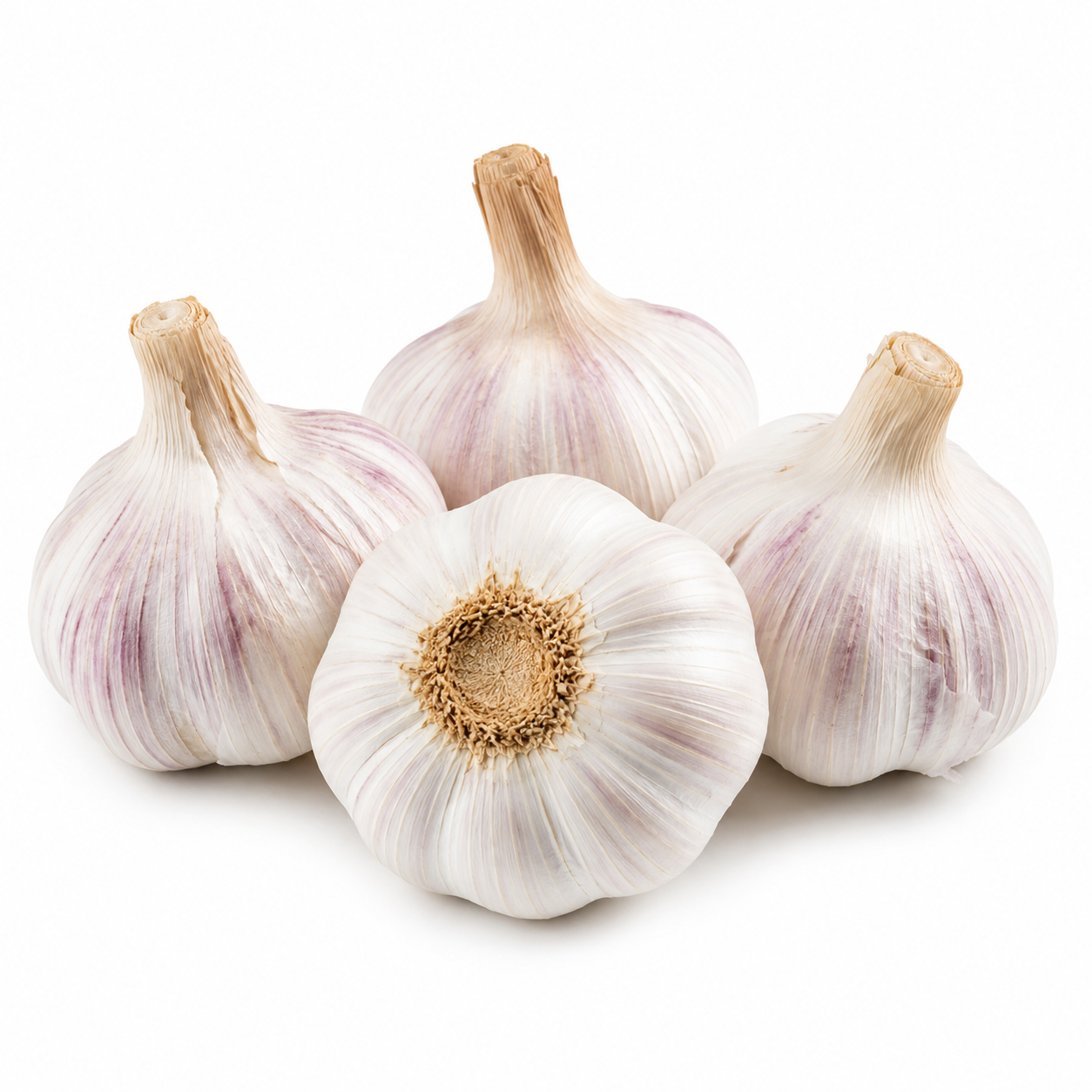 Fresh Garlic Each