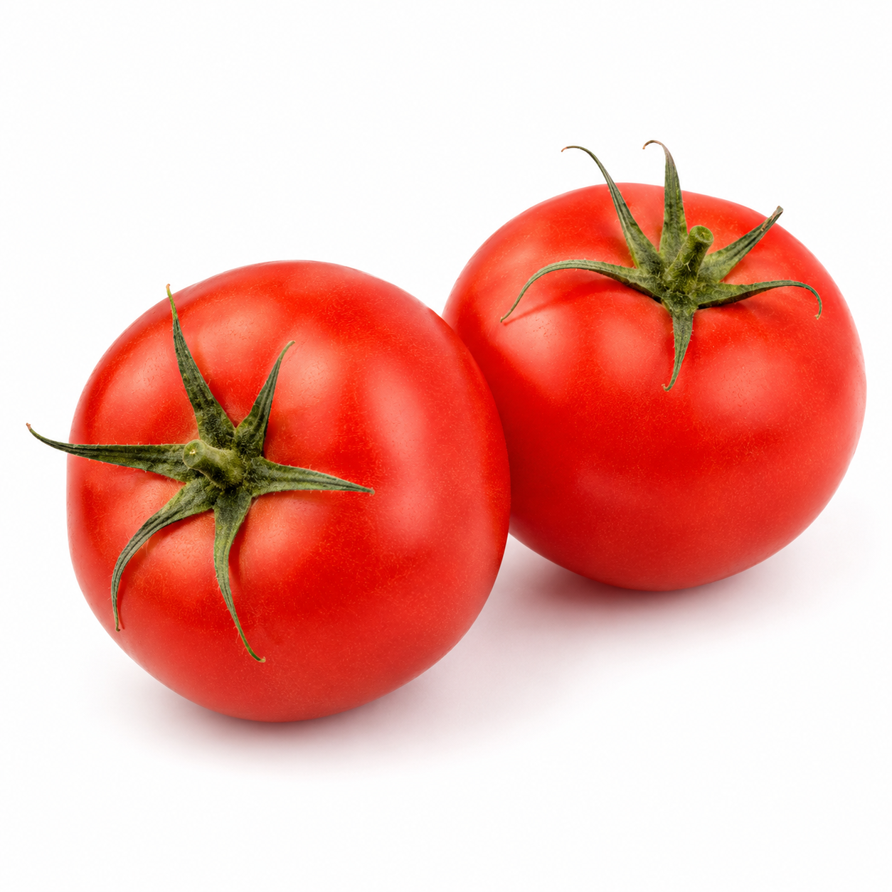 Fresh Tomatoes