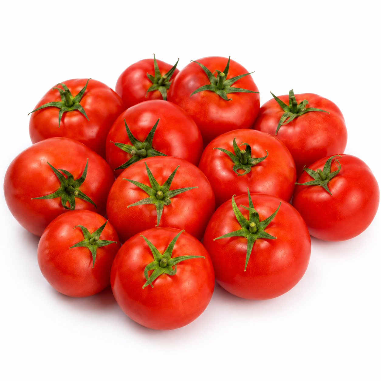 Fresh Tomatoes