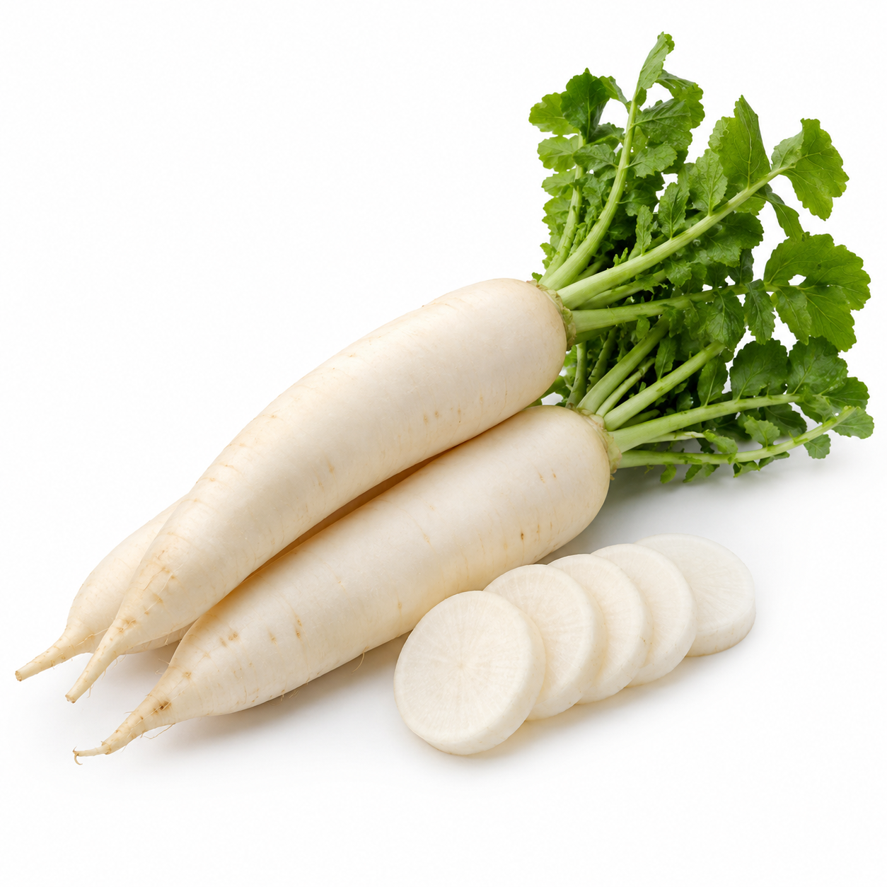 Fresh Mooli Each (Single)