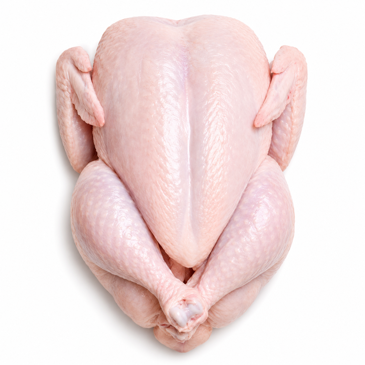 Halal Fresh Baby Chicken