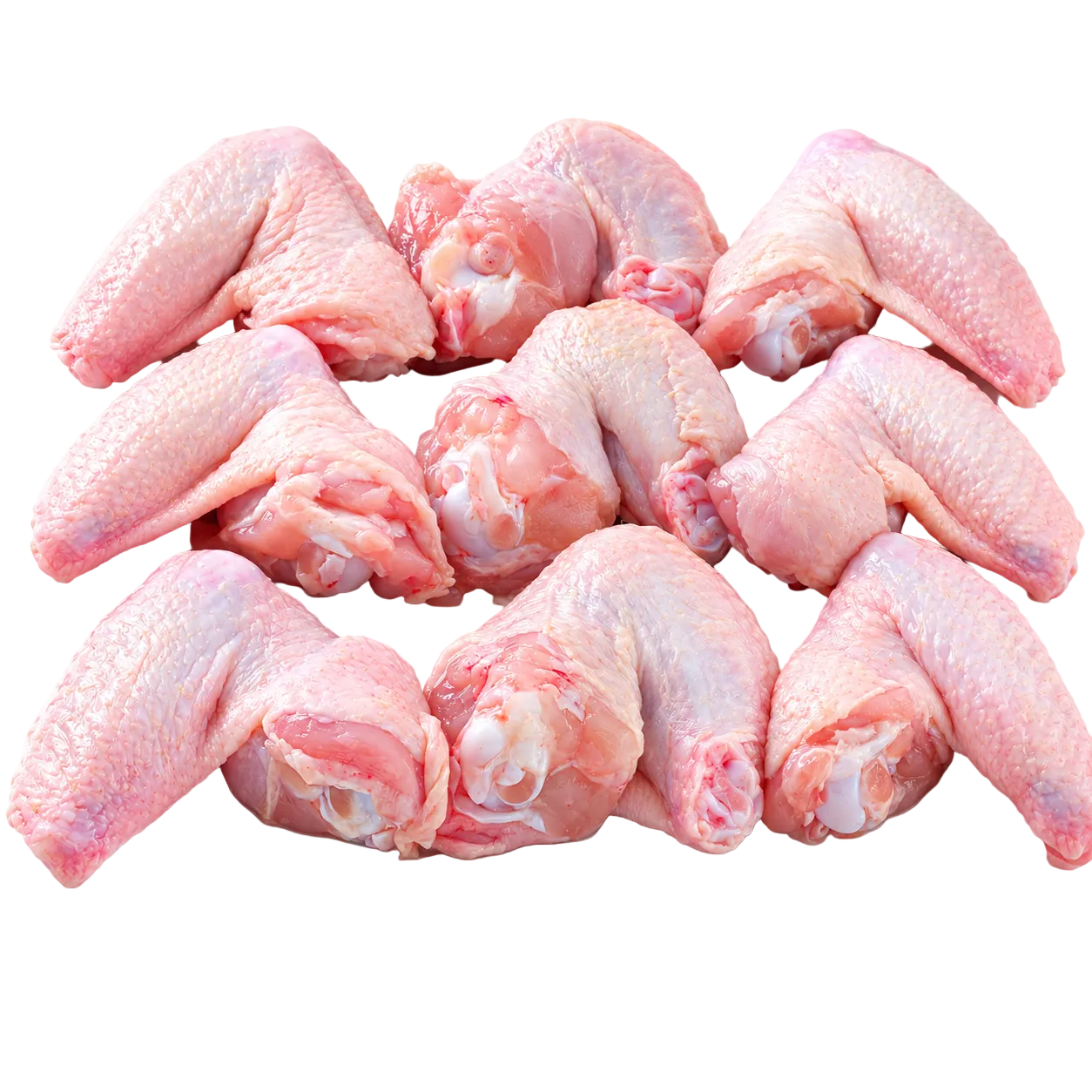 Halal Fresh Chicken 2 Joint Wings