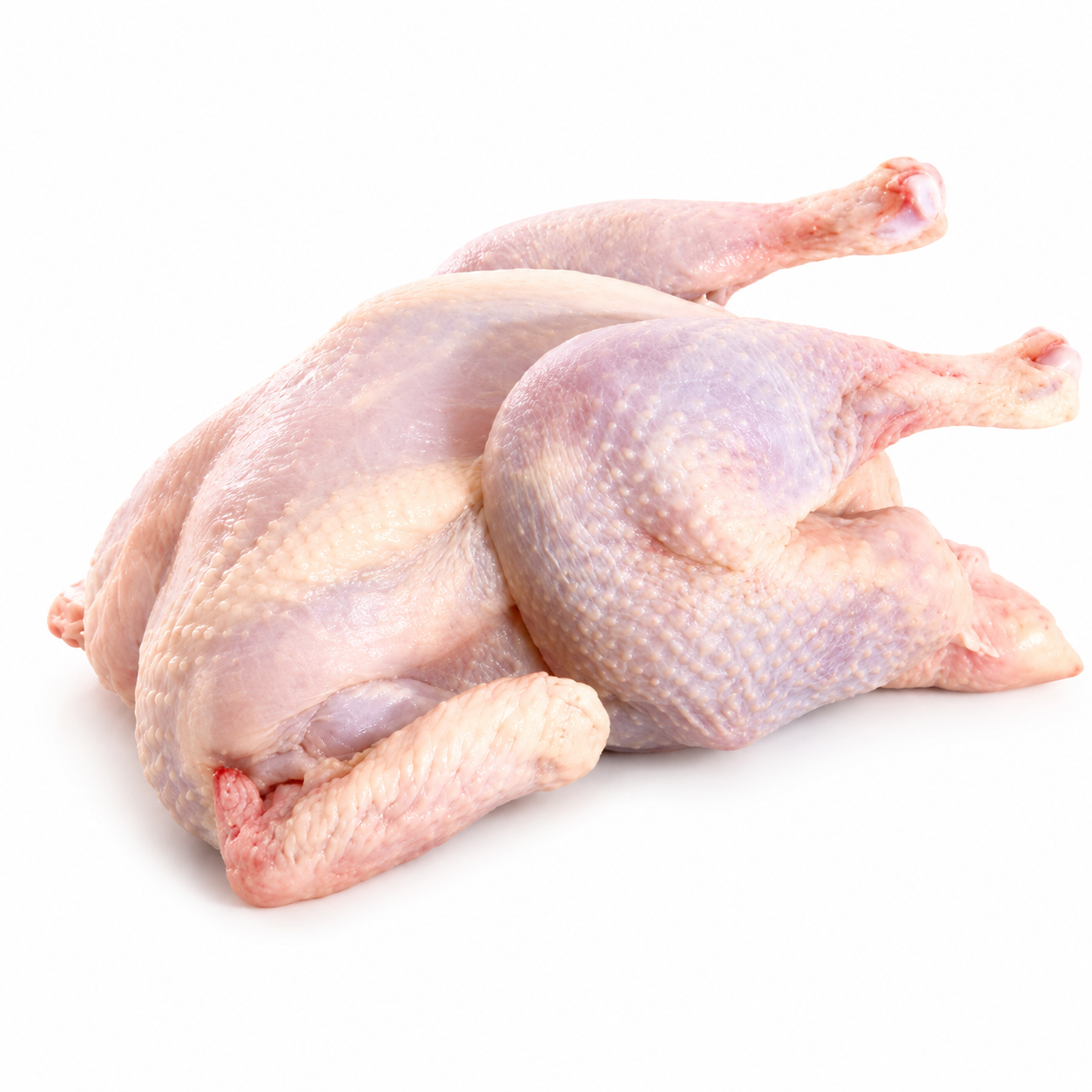 Halal Fresh Whole Hard/Hen Chicken