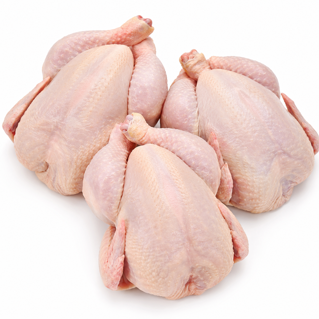 Halal Fresh Medium Chicken x3