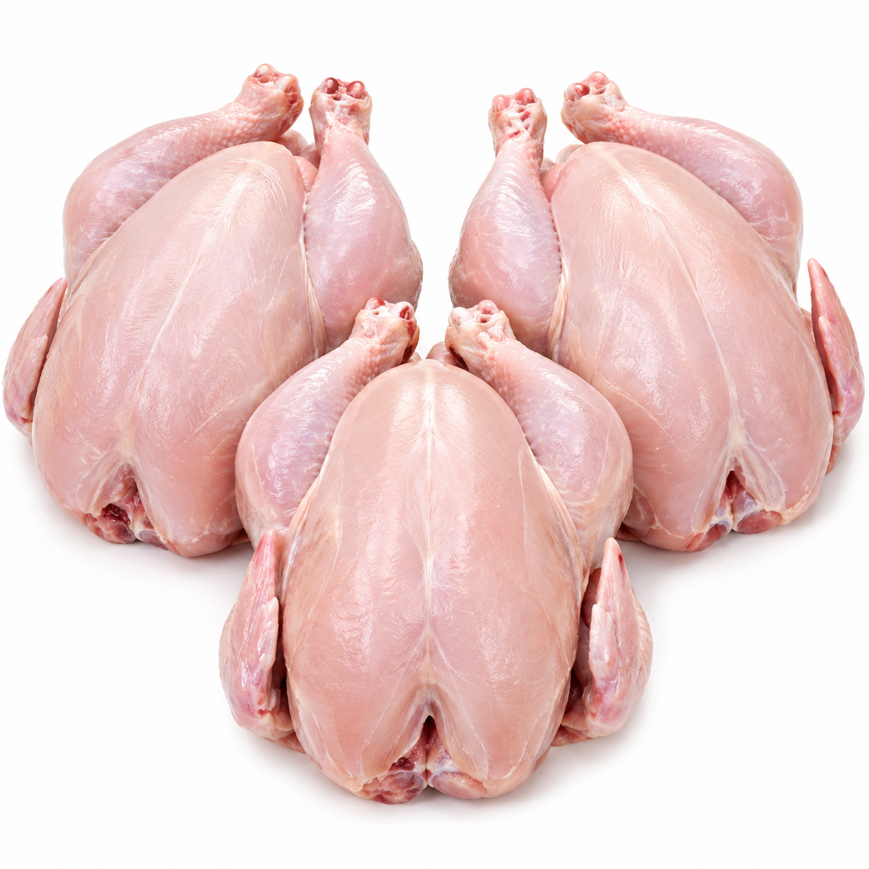 Halal Fresh Medium Chicken x3