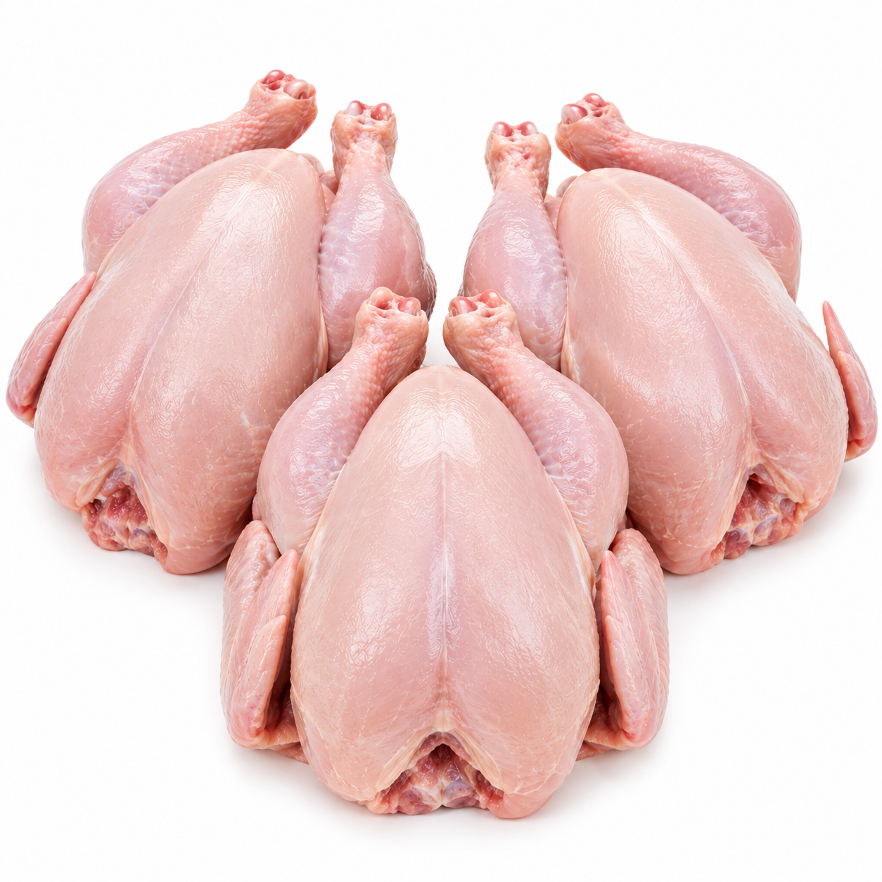 Halal Fresh Medium Chicken x3