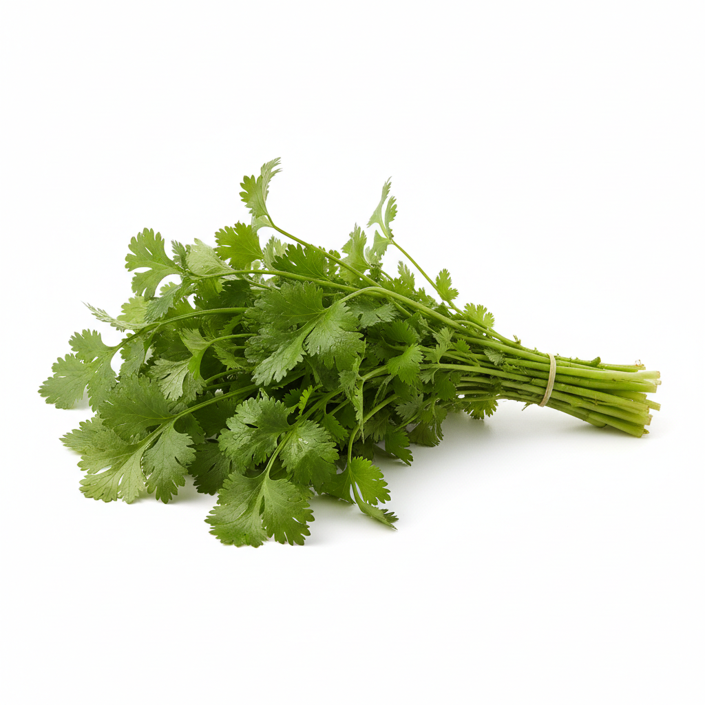 Fresh Coriander Bunch