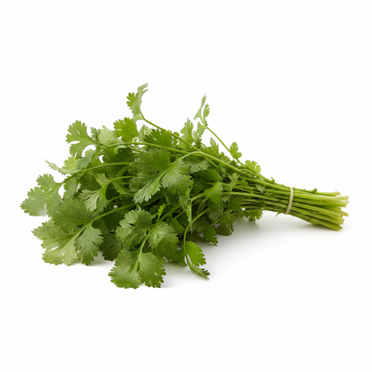 Fresh Coriander Bunch