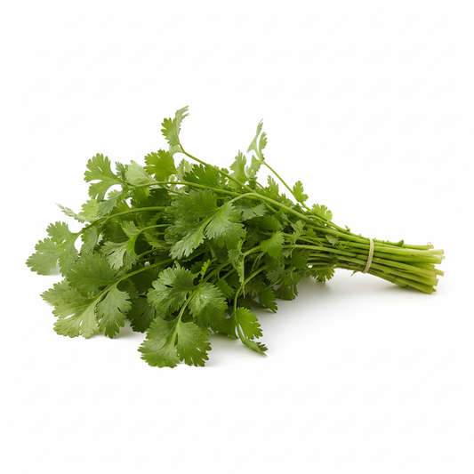 Fresh Coriander Bunch