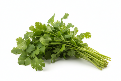 Fresh Coriander Bunch